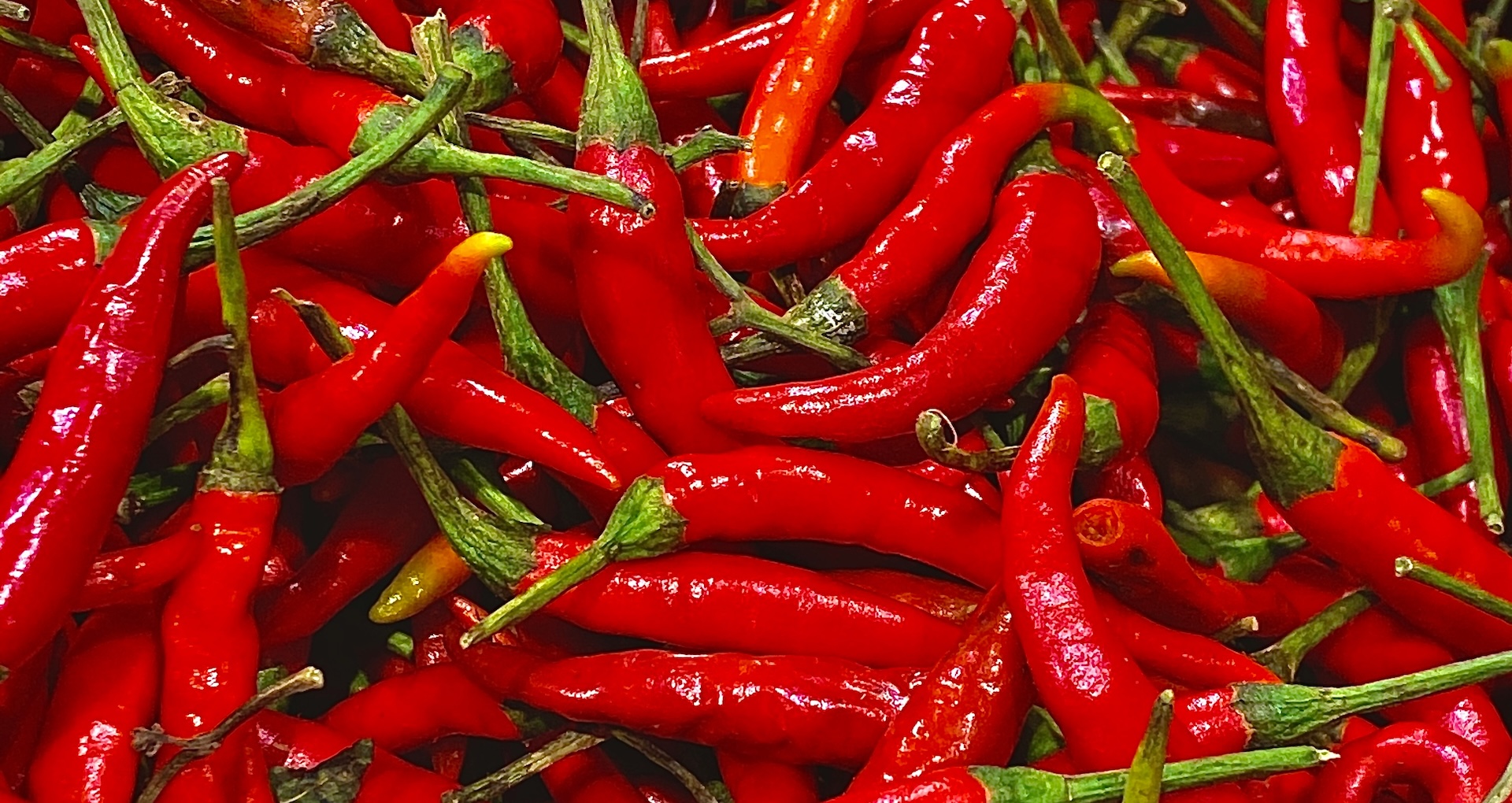 Chili »halblanger Vulkan«